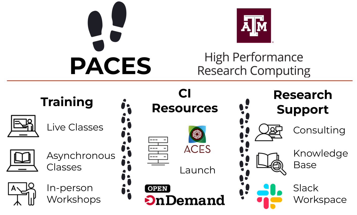 PACES Cyber Training Logo